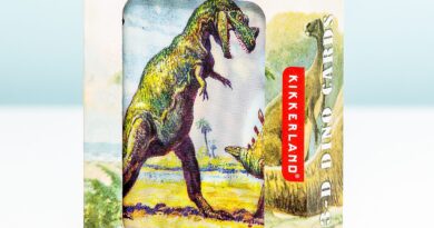 Lees alles over  3D Speelkaarten - Dinosaurussen en bestel deze goedkoop online