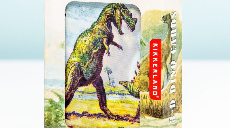 Lees alles over  3D Speelkaarten - Dinosaurussen en bestel deze goedkoop online
