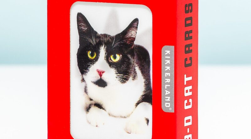 Lees alles over  3D Speelkaarten - Katten en bestel deze goedkoop online