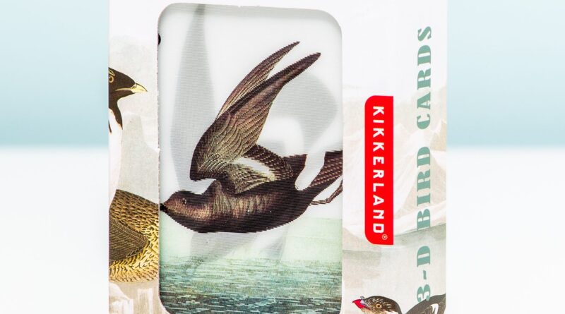 Lees alles over  3D Speelkaarten - Vogels en bestel deze goedkoop online