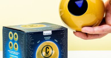 Lees alles over  Beslissingsbal - Crypto en bestel deze goedkoop online