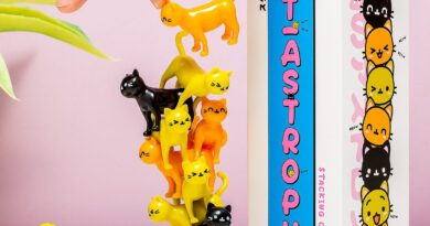 Lees alles over  Cat-astrophe Stapelspel en bestel deze goedkoop online