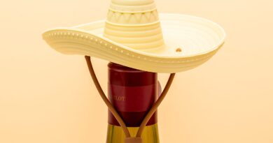 Lees alles over  El Corko Flesstopper en bestel deze goedkoop online