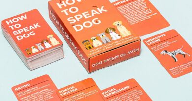 Lees alles over  How To Speak Kaarten - Hond en bestel deze goedkoop online