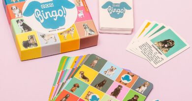 Lees alles over  Huisdier Bingo - Hond en bestel deze goedkoop online