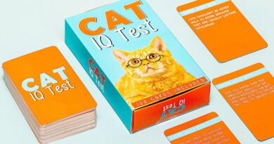 Lees alles over  Kat IQ Test en bestel deze goedkoop online