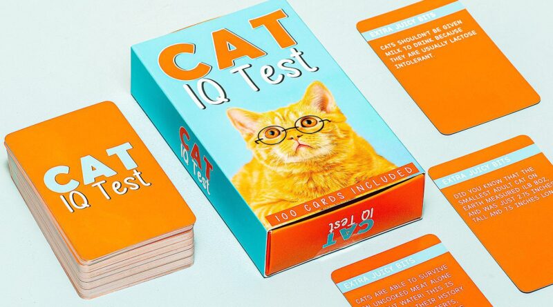 Lees alles over  Kat IQ Test en bestel deze goedkoop online