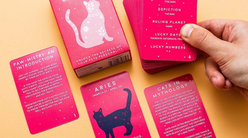 Lees alles over  Paw-mistry Kaarten - Kat en bestel deze goedkoop online