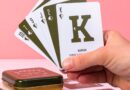 Lees alles over  Tuinier Kaartspel Met Tips en bestel deze goedkoop online