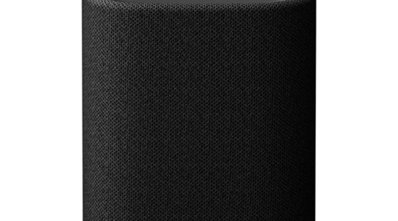 Bestel nu goedkoop de  Yamaha WS-X1A TRUE X Wifi speaker Zwart